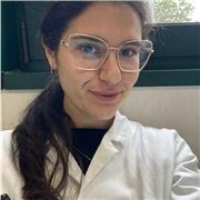 Offro lezioni private a ragazzi delle medie e superiori. Ho esperienza pregressa in aiuto compiti in tutte le materie.